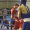 В Гусеве состоялось первенство по боксу среди обучающихся образовательных организаций