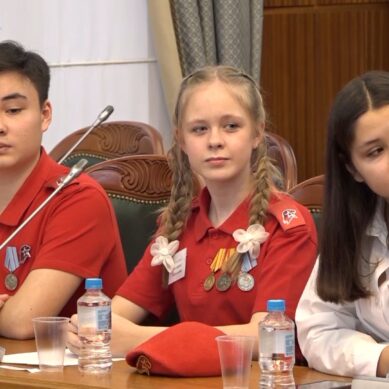 В Калининградской области создан совет по взаимодействию с детьми и молодёжью