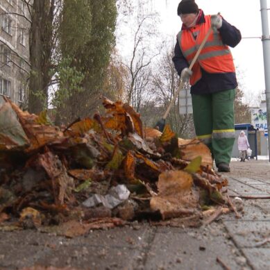Около 60 дворников за месяц уволилось из городской службы, отвечающей за уборку Калининграда