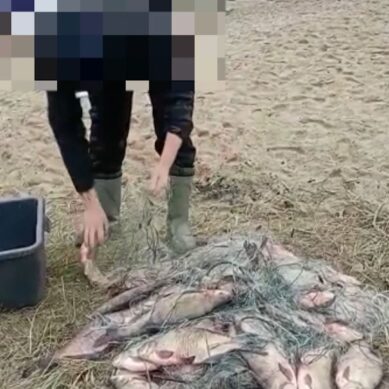 Транспортная полиция задержала любителя незаконной рыбалки в акватории Калининградского залива