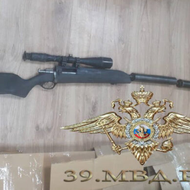 У жителя Калининградской области полицейские изъяли огнестрельное оружие, хранившееся в сарае