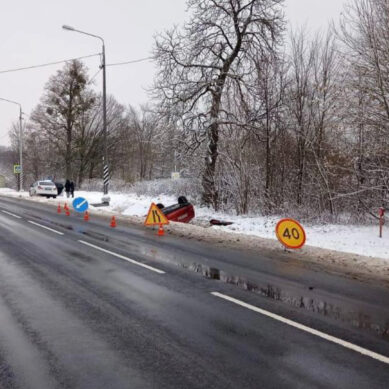 В Полесском районе «Ауди» съехала в кювет, пострадали пассажиры