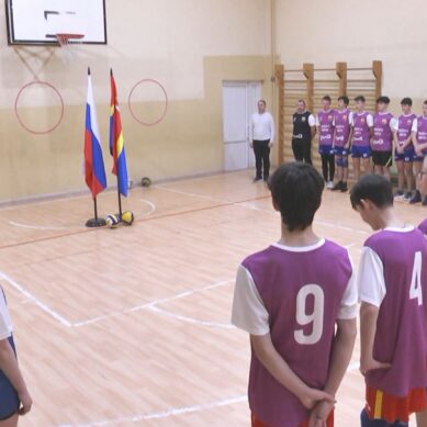 Под эгидой волейбольного клуба «Локомотив» и региональной профильной федерации учреждён новый областной турнир для школьников