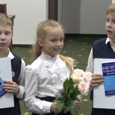 В Законодательном собрании наградили участников конкурса видеороликов ко Дню Конституции РФ
