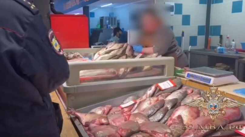 В Калининграде прошёл рейд по пресечению незаконной торговли морепродуктами неподтвержденной безопасности