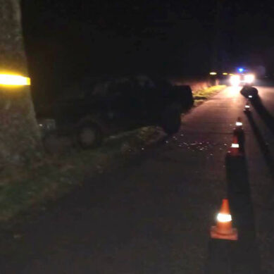 В Правдинском районе 24-летний водитель «Ауди» врезался в придорожное дерево