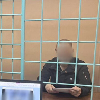 Житель Гусева признан виновным в убийстве сокамерника и кражах