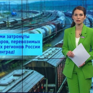 Сегодня вступили в силу запреты на транспортировку российской нефти и нефтепродуктов. Как в условиях ограничений калининградские власти поддерживают перевозчиков?