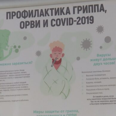 В Калининградской области за неделю выросла на 17% заболеваемость ОРВИ и гриппом