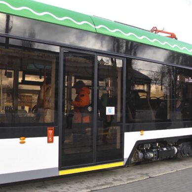 Дятлова: Третий трамвайный маршрут менее популярный по сравнению с пятым