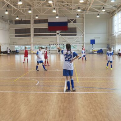 В Зеленоградске завершился региональный этап Всероссийских соревнований проекта «Мини-футбол в школу»