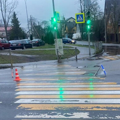 В Калининграде водитель сбил пешехода, переходившего дорогу на зеленый сигнал светофора