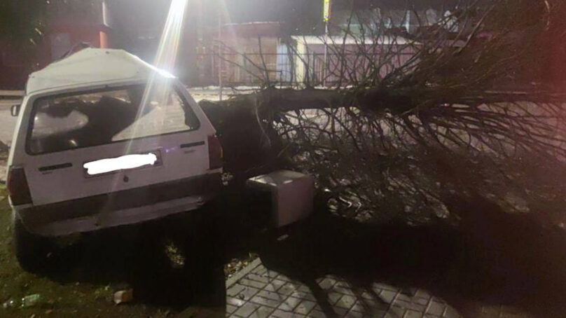 В Полесске пьяный водитель на «Фольксвагене» влетел в дерево