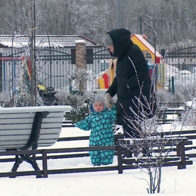 В Калининградской области с этого года многодетные семьи могут получить 400 тысяч рублей взамен земельного участка