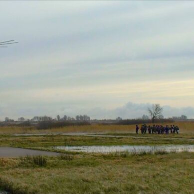 Морпехи Балтфлота выполнили учебно-тренировочные прыжки с парашютом