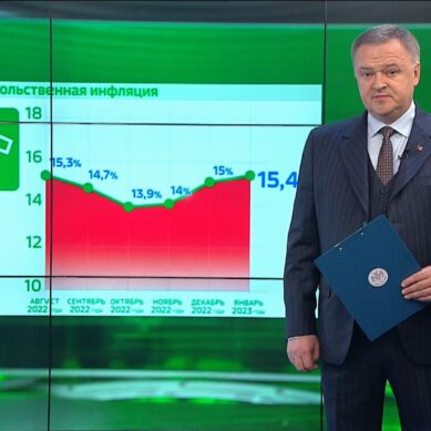Годовая инфляция в Калининградской области в январе 2023 года сохранилась на уровне 12,9%. Это выше средних показателей по СЗФО
