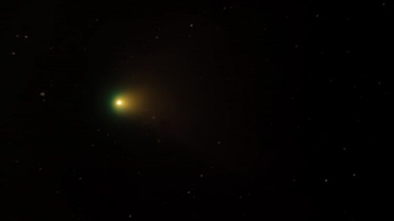 Астрономы БФУ им. Канта засняли комету с зелёным хвостом