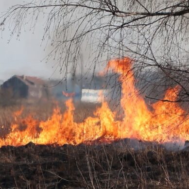 Больше шестидесяти полевых пожаров вспыхнуло в области в минувшие выходные