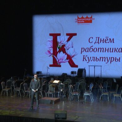 В преддверии Дня работника культуры наградили тех, кто вносит вклад в развитие искусств в Калининградской области