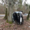 На Балтийской трассе водитель превысил скорость и его автомобиль опрокинулся в кювет