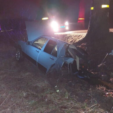 23-летний водитель «Мерседеса» выехал на «встречку» и врезался в дерево