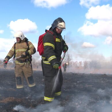 В Калининградской области прошли масштабные командно-штабные учения по взаимодействию всех спасательных структур во время полевых пожаров