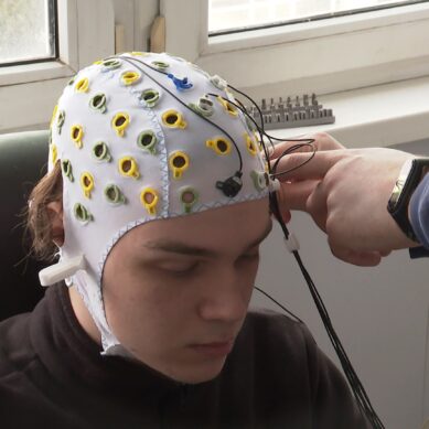 Учёные БФУ разрабатывают новые методы диагностики эпилепсии