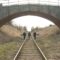 Как жители Краснолесья отнеслись к предложению местных властей о продаже арочного моста