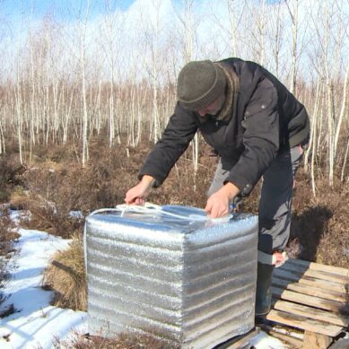 В Калининградской области на полигоне «Росянка» продолжаются экоисследования и изучение выделения парниковых газов