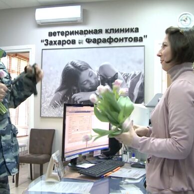 В Калининграде полицейские кинологи поздравили ветеринаров с 8 Марта