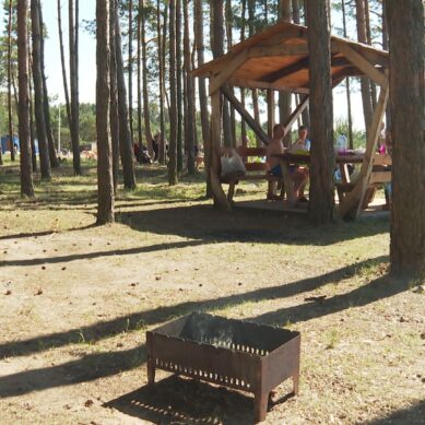 Эксперты подсчитали, сколько стоят товары для пикника на природе в 2023 году в Калининградской области