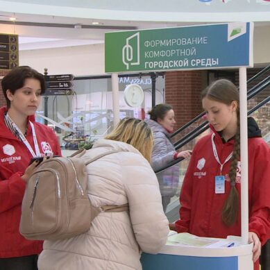 В Калининграде проходит голосование за объекты благоустройства