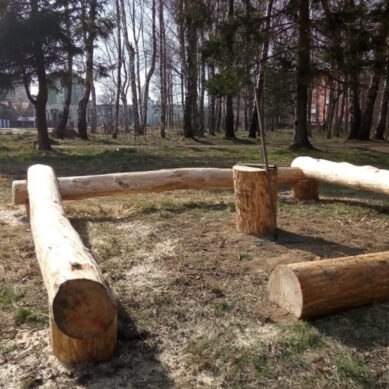 Новое место отдыха обустроили в лесу Чкаловска