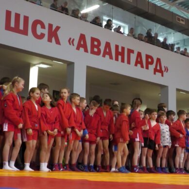 В Черняховске прошел областной турнир по самбо «Верный воин»