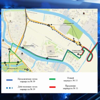 В Калининграде представили новую маршрутную сеть