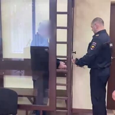 В Светлогорске заключили под стражу 63-летнего стрелка за покушение на убийство двух мужчин
