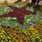 В Черняховске идут последние приготовления к открытию областного фестиваля цветов в обновлённом Парке Победы