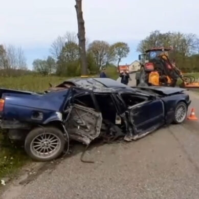 В Багратионовском районе 21-летний нетрезвый водитель врезался в дерево