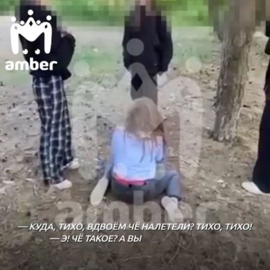 Видео, в котором школьники жестоко избивают 13-летнюю девочку в Прибрежном, разлетелось по интернету