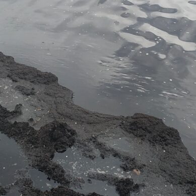 Росприроднадзор проверяет информацию о загрязнении нефтепродуктами морского побережья Зеленоградска