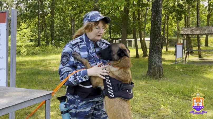 В преддверии дня кинологов прошли региональные соревнования специалистов силовых ведомств