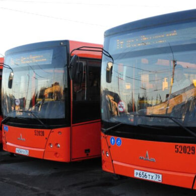 С 1 сентября изменится транспортная схема Калининграда