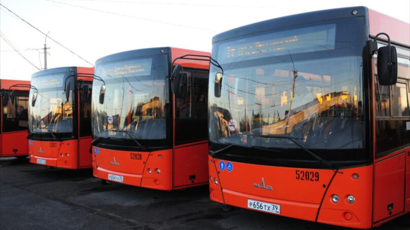 Новые автобусы выйдут на улицы Калининграда весной 2024 года. По каким маршрутам они будут ходить