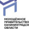 Молодёжное правительство Калининградской области проводит отбор в кадровый резерв