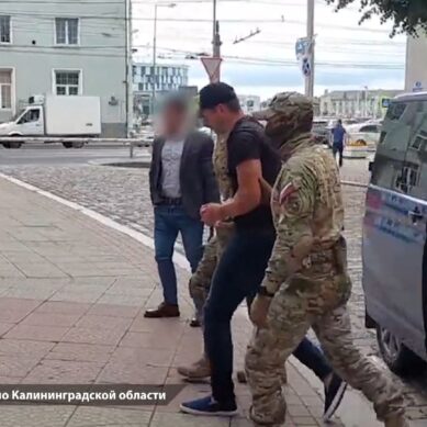 Бывшего директора агентства по делам молодежи Калининградской области признали виновным в мошенничестве