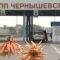Власти выделили 78 млн на установку оборудования для электронной очереди на погранпереходе в Чернышевском