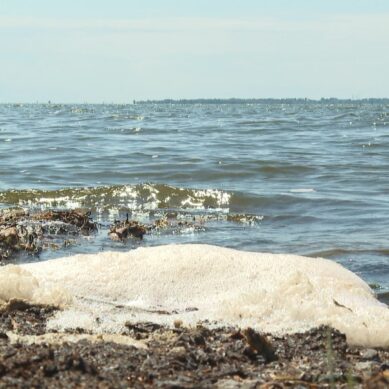 Росприроднадзор обвиняет светловский водоканал в загрязнении Калининградского залива