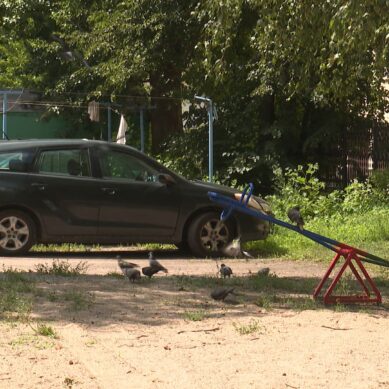 Парковка вместо детской площадки. Юные жители дома на ул. Зои Космодемьянской остались лишены места для игры