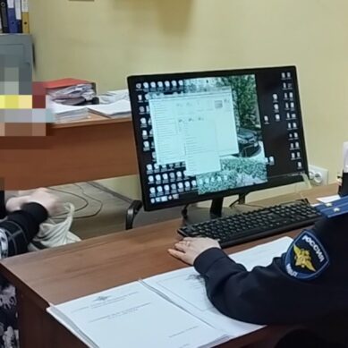 Жительница Калининграда помогла полицейским задержать курьера от мошенников