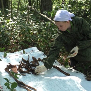 Калининградские поисковики обнаружили останки двух летчиков штурмовика Ил-2